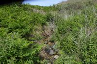6.Tag, Wanderung zur Pointe du Raz 
