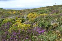 6.Tag, Wanderung zur Pointe du Raz 