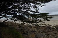 7.Tag, Wanderung auf der Ile Grande 