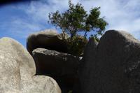 8.Tag, Wanderung an der Rosa Granit Küste