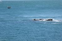 8.Tag, Wanderung an der Rosa Granit Küste