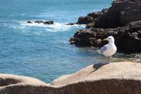 8.Tag, Wanderung an der Rosa Granit Küste