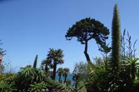 8.Tag, Wanderung an der Rosa Granit Küste