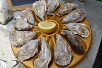 8.Tag, Cancale, die Hauptstadt der Austernzucht