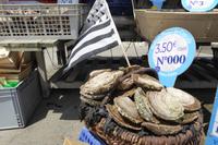 8.Tag, Cancale, die Hauptstadt der Austernzucht