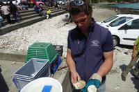 8.Tag, Cancale, die Hauptstadt der Austernzucht