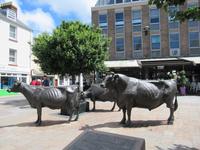 Sculture von Jersey-Kühen