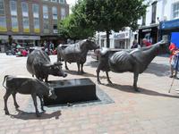 Sculture von Jersey-Kühen