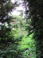 Mont Saint-Michel- der hängende Garten