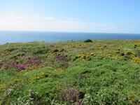 La Pointe du Raz- Die Spitze des Raz in Finistère, das Ende der Welt.
