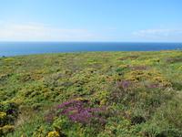 La Pointe du Raz- Die Spitze des Raz in Finistère, das Ende der Welt.