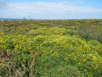 La Pointe du Raz- Die Spitze des Raz in Finistère, das Ende der Welt.