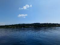 Brigitte Bardot Anliegen