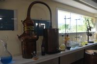 Von der Destillation zur Blütenessenz