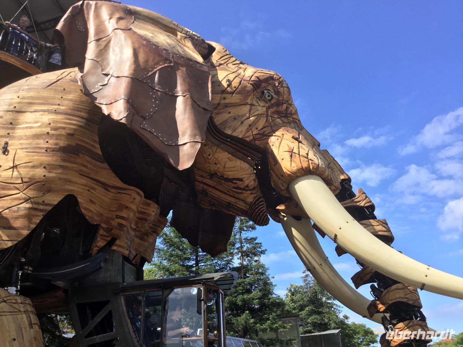 Charmanter Augenaufschlag...