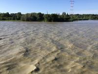 die Loire in ihrer Mündung