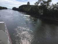 Loire als Vogelparadies