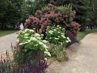 sommerliche Vorboten