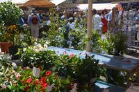 auf dem Markt Cours Saleya