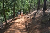 schöner Spaziergang