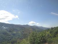 Blick aus der Zahnradbahn