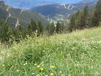 Blick vom Coll de la Botella