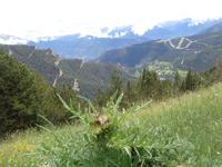 Blick vom Coll de la Botella