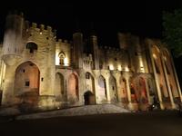 nächtlicher Spaziergang durch Avignon - Papstpalast