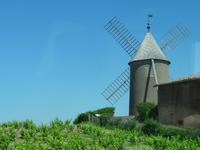 Auf der Fahrt ins Weinmuseum