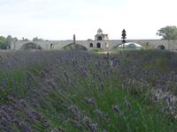 Avignon - Pont Saint-Benezet bei Tag
