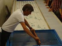 Lyon - in der Seidendruckerei 