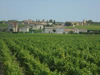 Weinberge bei St. Emilion
