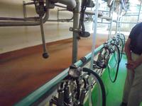 Besuch der Farm und Käserei in Lambres