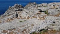 Pointe du Raz