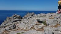 Pointe du Raz