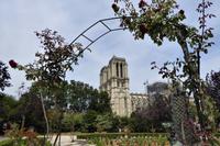 Paris Tag 1 Notre Dame