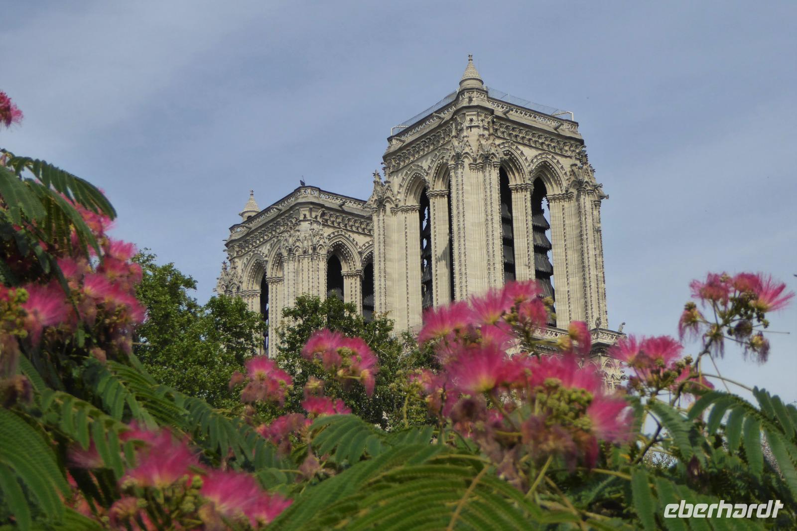 Paris Tag 1 Notre Dame