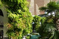 Paris Tag 2 Die große Moschee