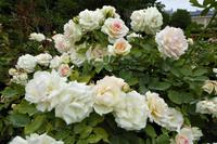 Paris Tag 3 Impressionen