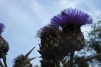 Paris Tag 4 Imprssionen