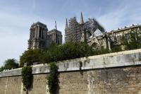 Paris Tag 4 Notre Dame