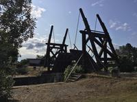 beliebtes Motiv von van Gogh