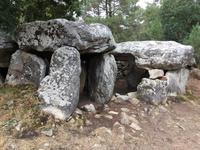 Steinerne Zeugen einer unbekannten Kultur