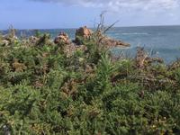 und sogar mit blauem Himmel...