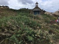 und eine Kapelle für die Gebete...