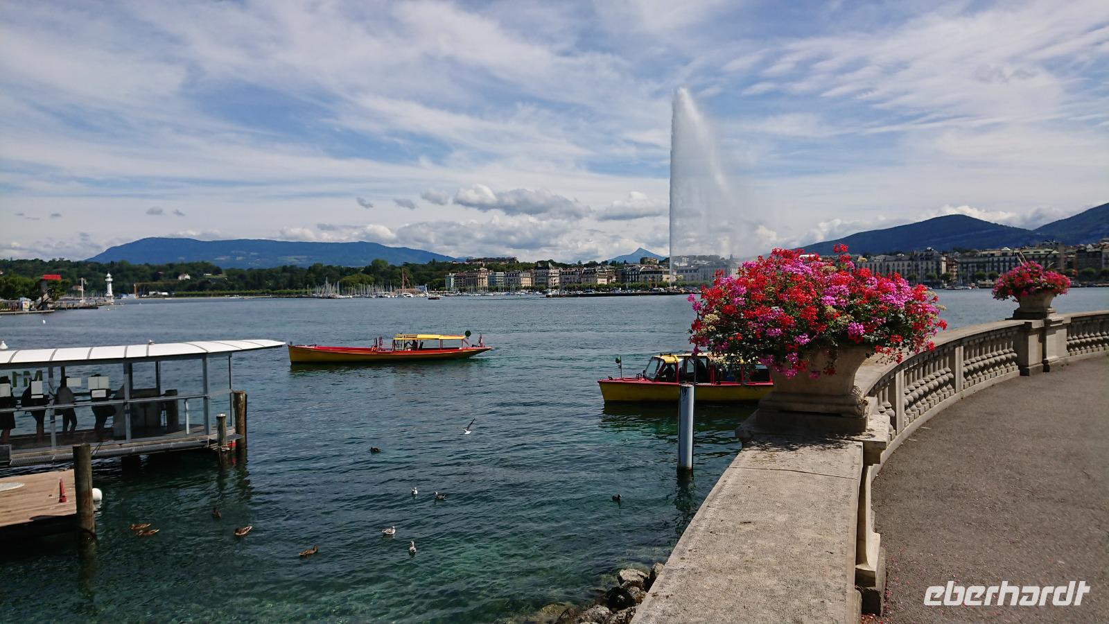 Genfer See mit Fontäne - der Jet d'Eau ist 140 m hoch