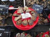 Das Dutzend: 6 Belons und 6 Creuses