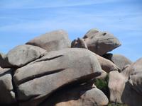 Ploumenac. Ckamäleon