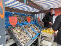 Cancale -der Austernmarkt