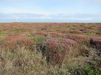 Pointe du Raz - Die Spitze des Raz